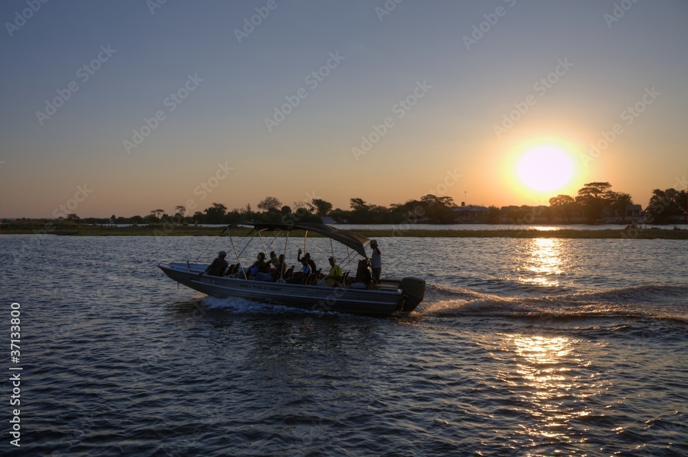 Naklejka premium Chobe National Park (Botswana) - Wildlife Reserve