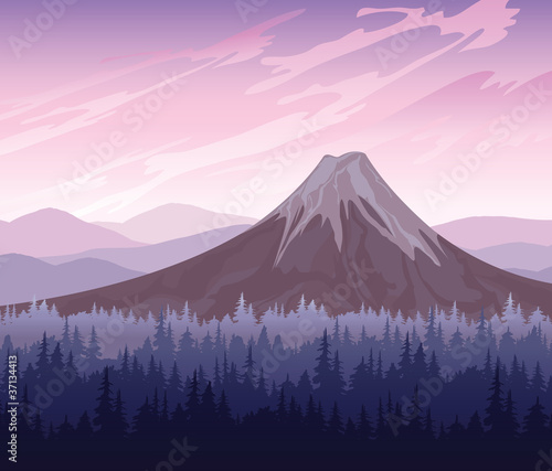 Forest and volcano