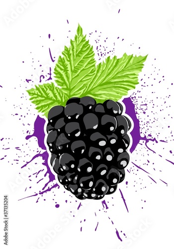 Vector berry