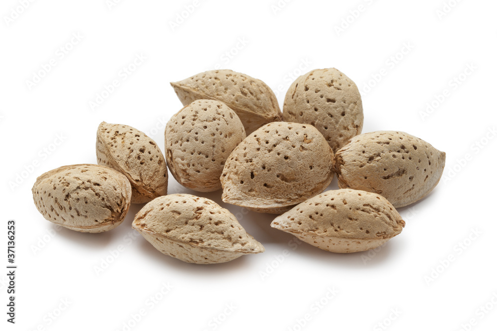 Almonds in the pod Almonds in the pod