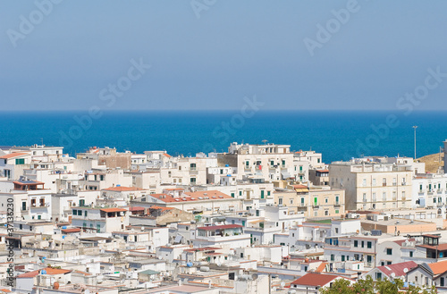 Panoramic view of Vieste. Puglia. Italy.