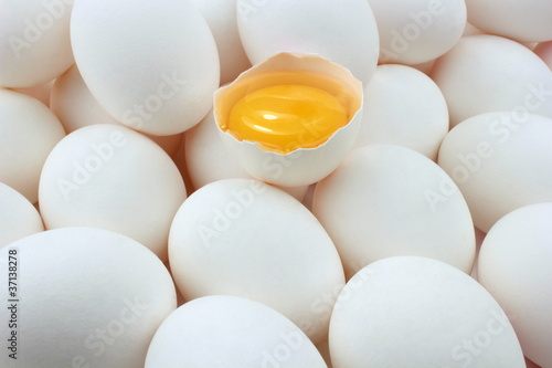 Eggs and egg yolk