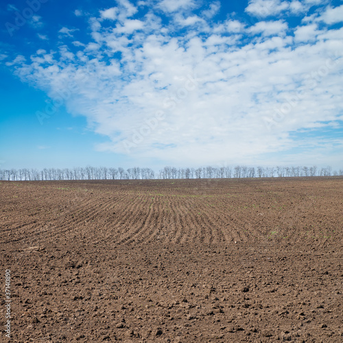 black ploughed field under deep blue sky