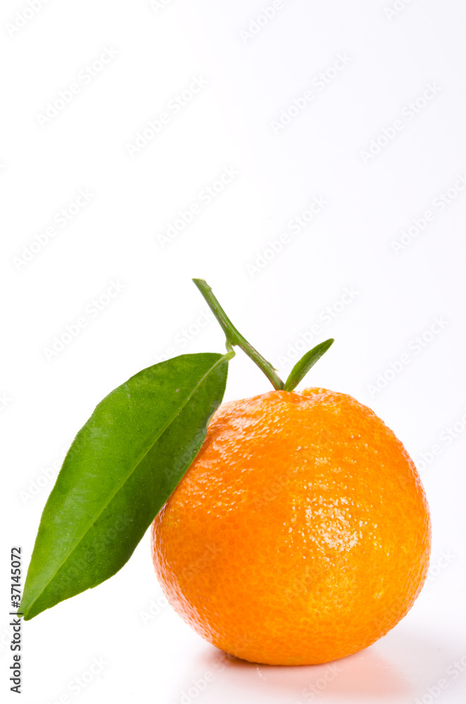 Orange Orange