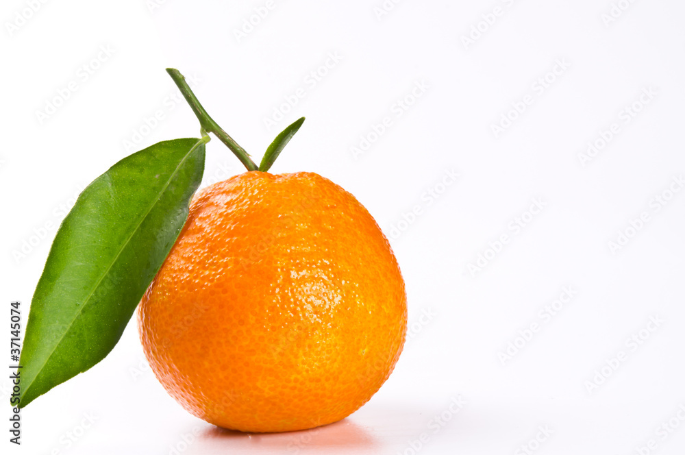 Orange Orange