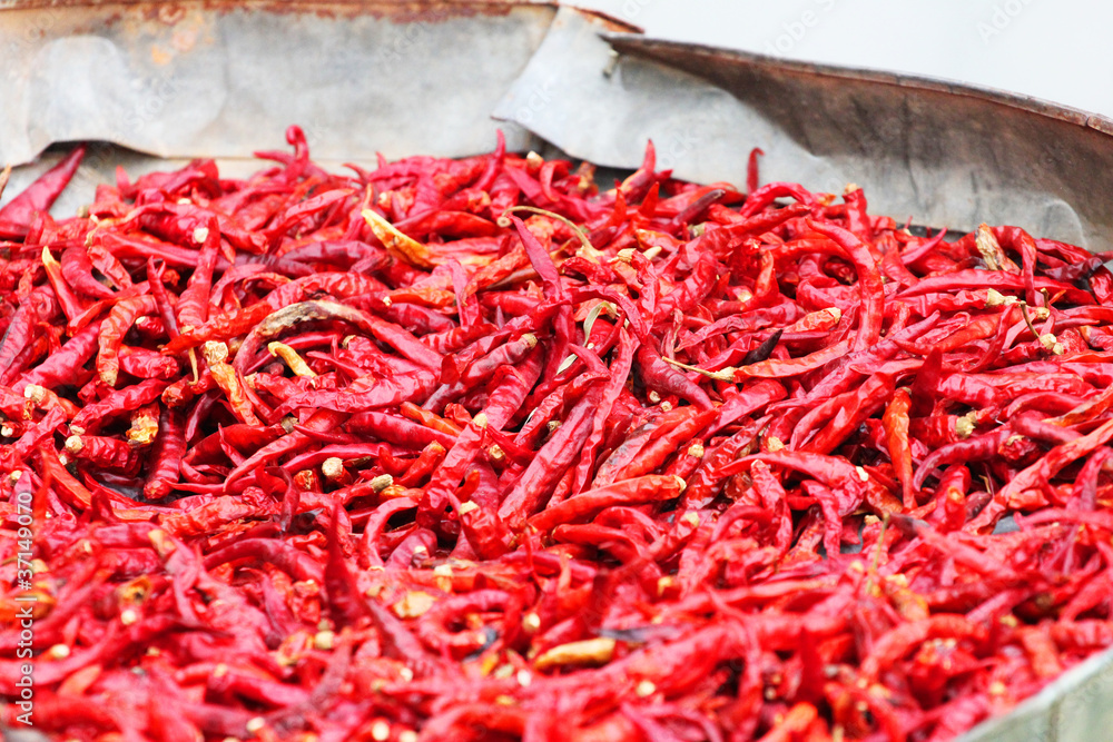 Chilies drying in the sun in Thailand.