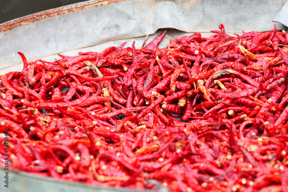 Fototapeta premium Chilies drying in the sun in Thailand.