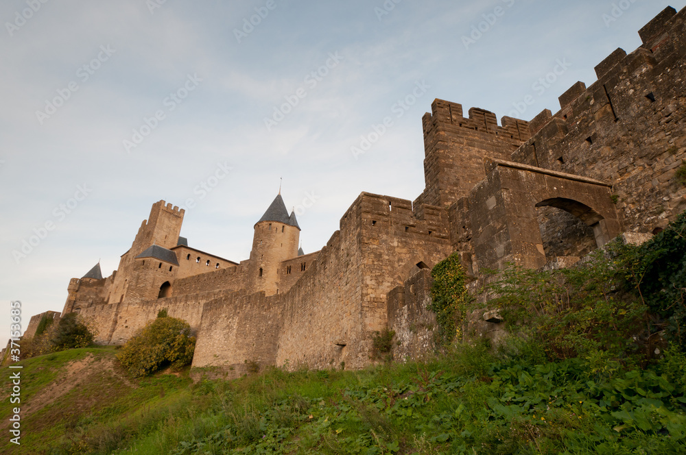 Carcassonne 15