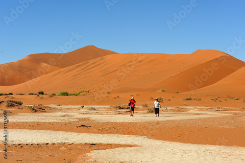 Dunes dans le d  sert du Namib  Namibie