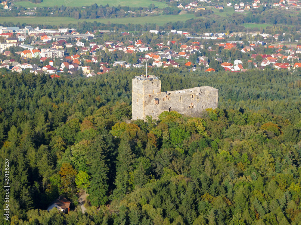 Aerial photo of medieval castle Radyne, Czech republic, EU