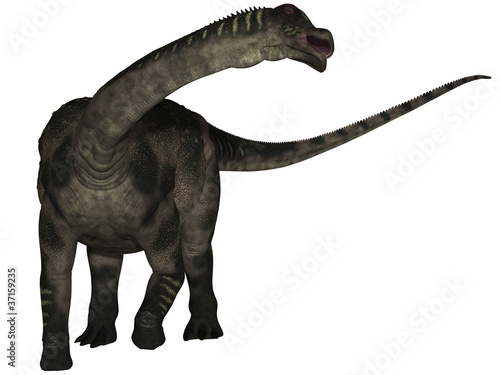 Fototapeta Naklejka Na Ścianę i Meble -  Antarctosaurus wichmannianus - 3D Dinosaurier