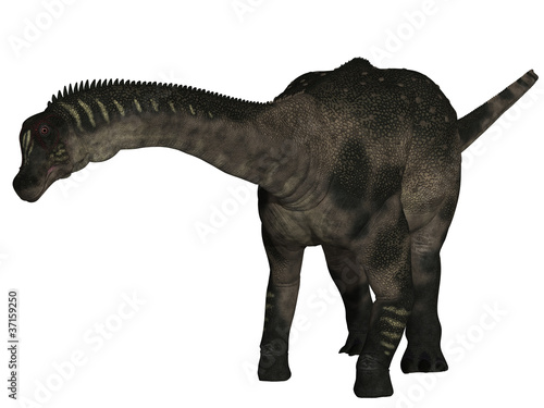 Antarctosaurus wichmannianus - 3D Dinosaurier