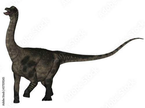 Antarctosaurus wichmannianus - 3D Dinosaurier photo