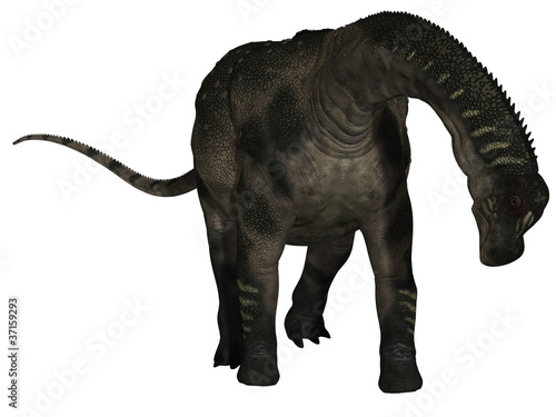Antarctosaurus wichmannianus - 3D Dinosaurier © Andreas Meyer