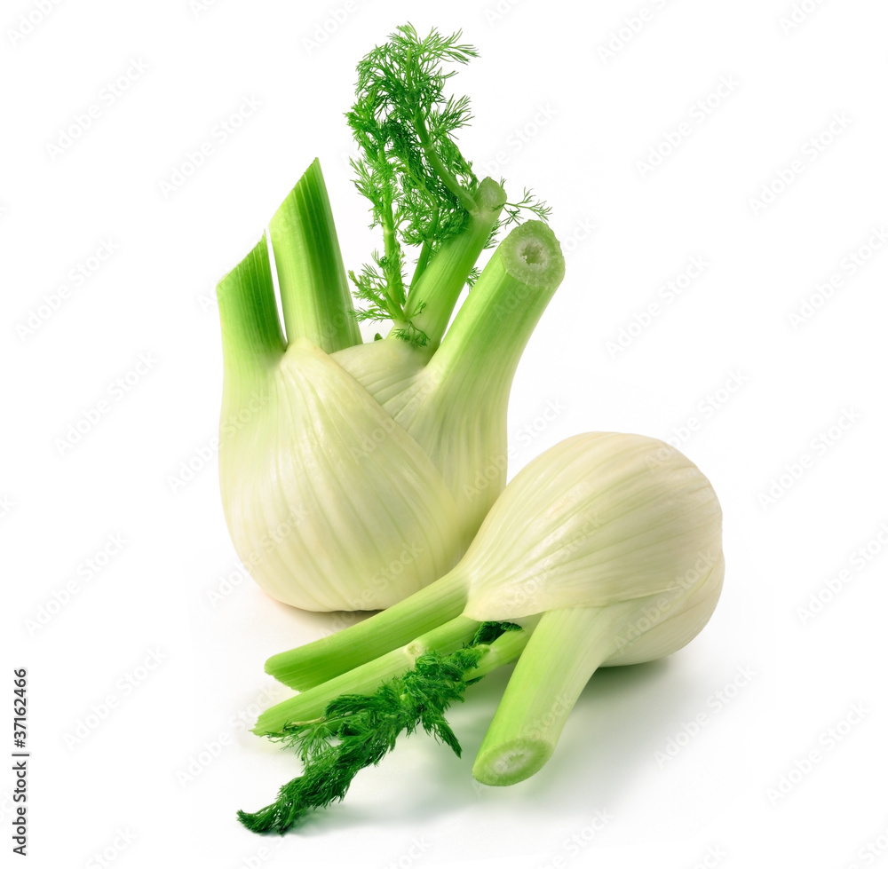 Finocchi