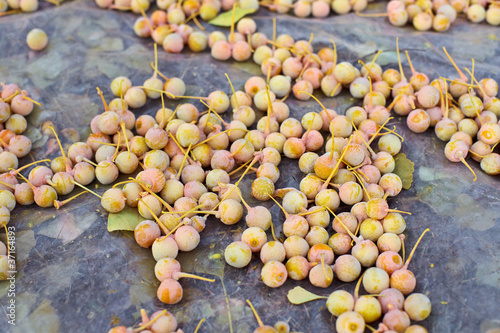 Ginkgo Biloba fruits heap lying over leaves, outdoor shot photo