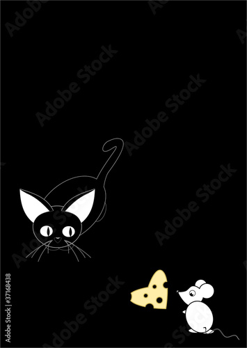 Cat and Mouse