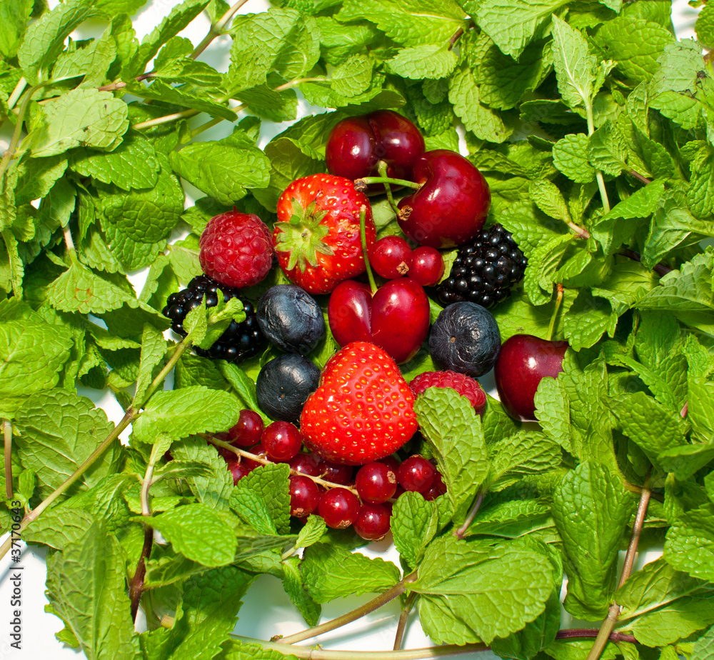 a lot of different berries and green leaves a lot of different berries and green leaves
