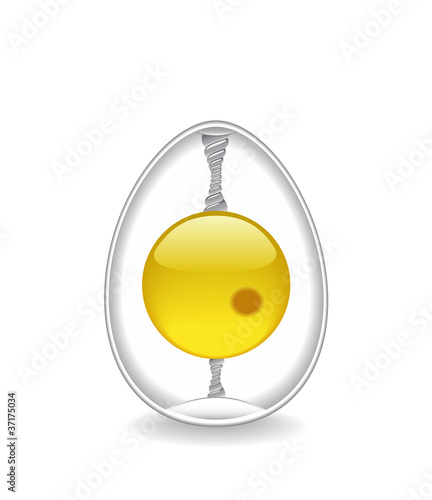 The structure of the egg.