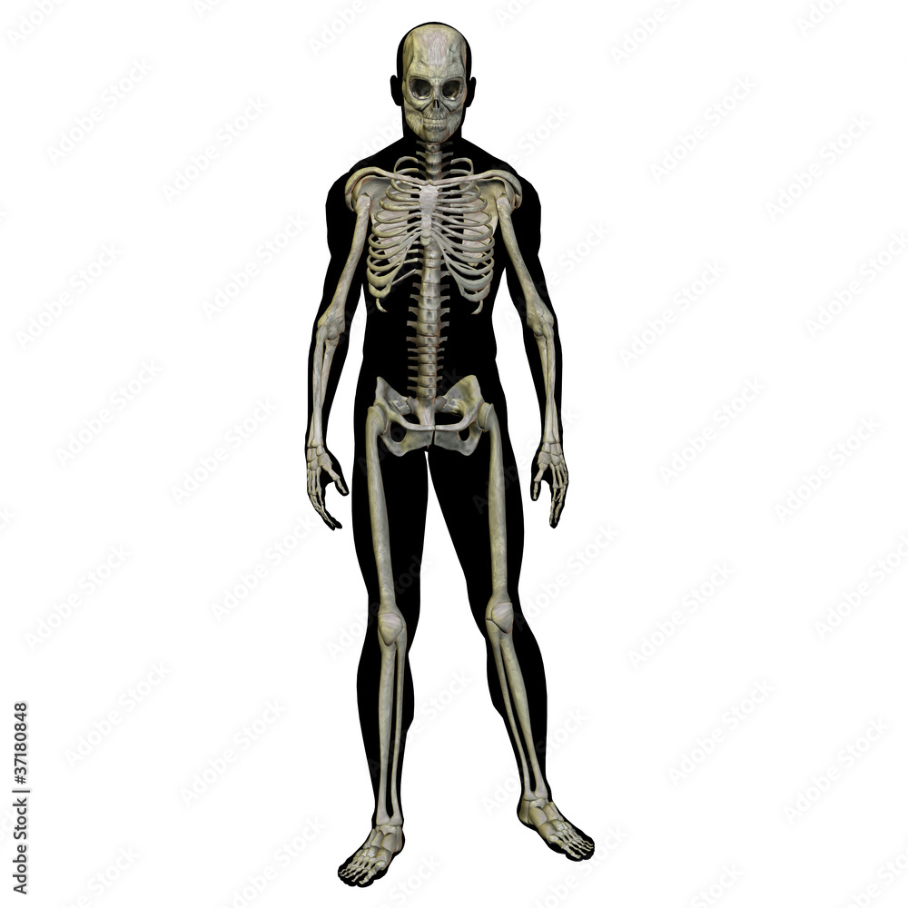 High resolution conceptual 3D human ideal for anatomy