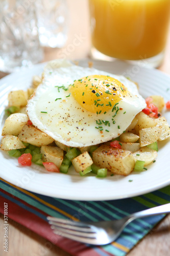 Fried Egg and Potatoes
