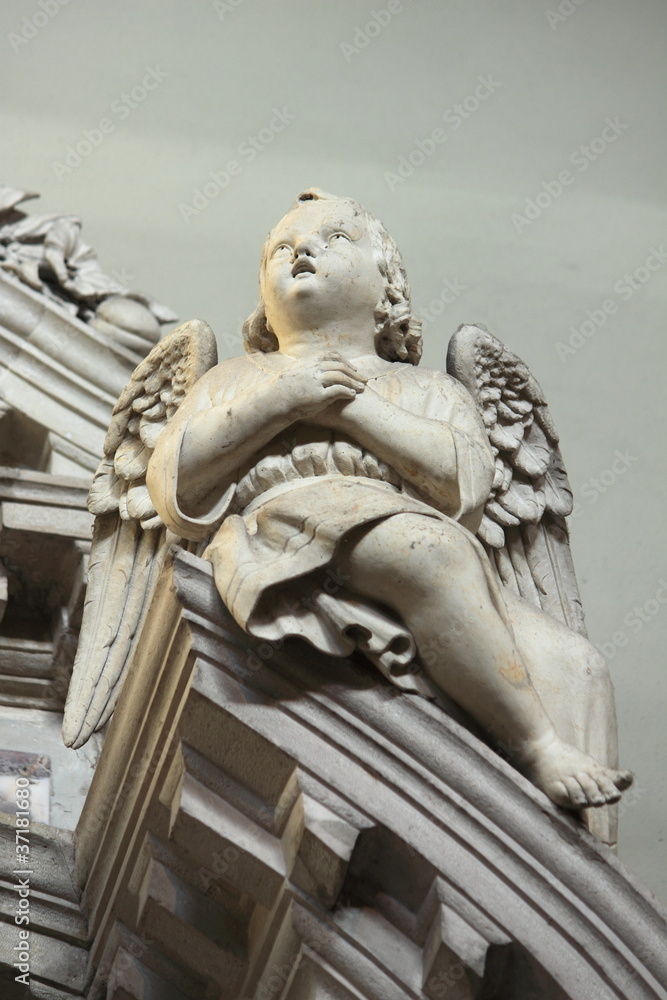 Obraz premium Angioletto