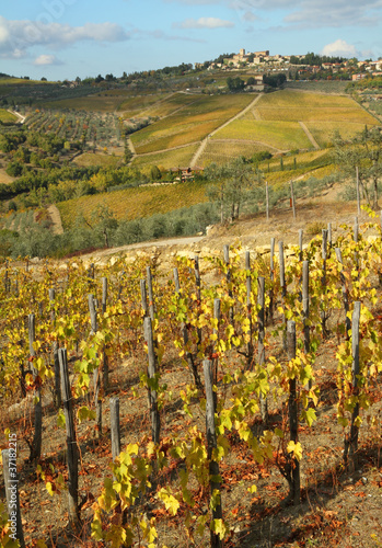 vineyards and village Panzano in Chianti on hill, Tuscany