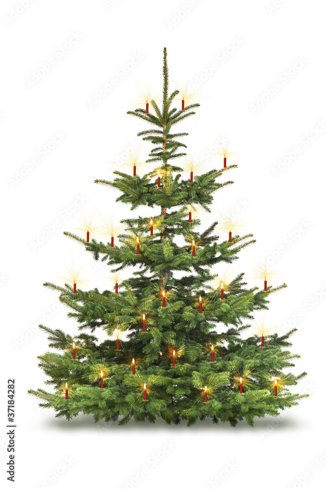 Weihnachtsbaum mit Roten Kerzen Stock Photo Adobe Stock