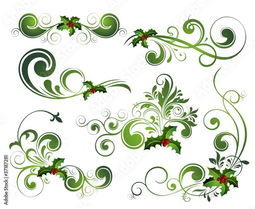Vector   Christmas holly set
