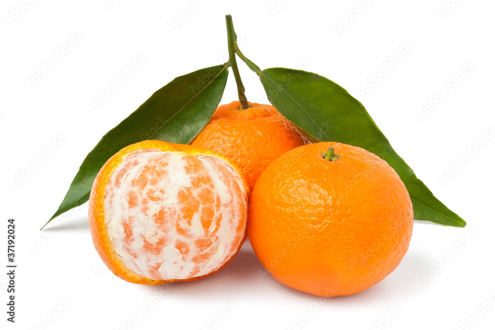 group of tangerines group of tangerines