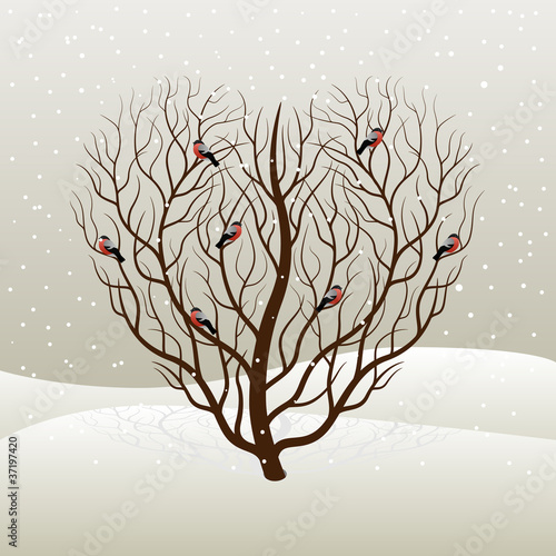 Tree and bullfinches. Vector illustration.