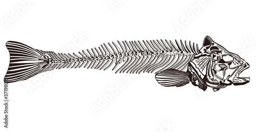 Fischgräte