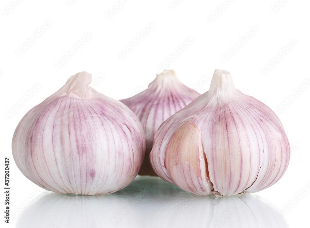 fresh garlic isolated on white fresh garlic isolated on white