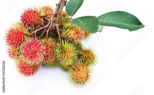 rambutan or hairy fruit, popular fruit of Thailand on white back