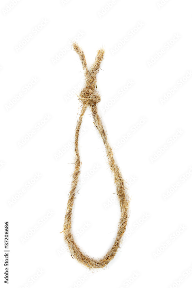 cord loop isolated cord loop isolated