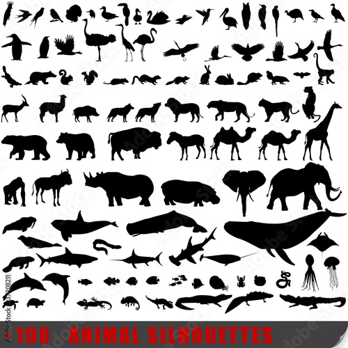 Set of 100 very detailed animal silhouettes