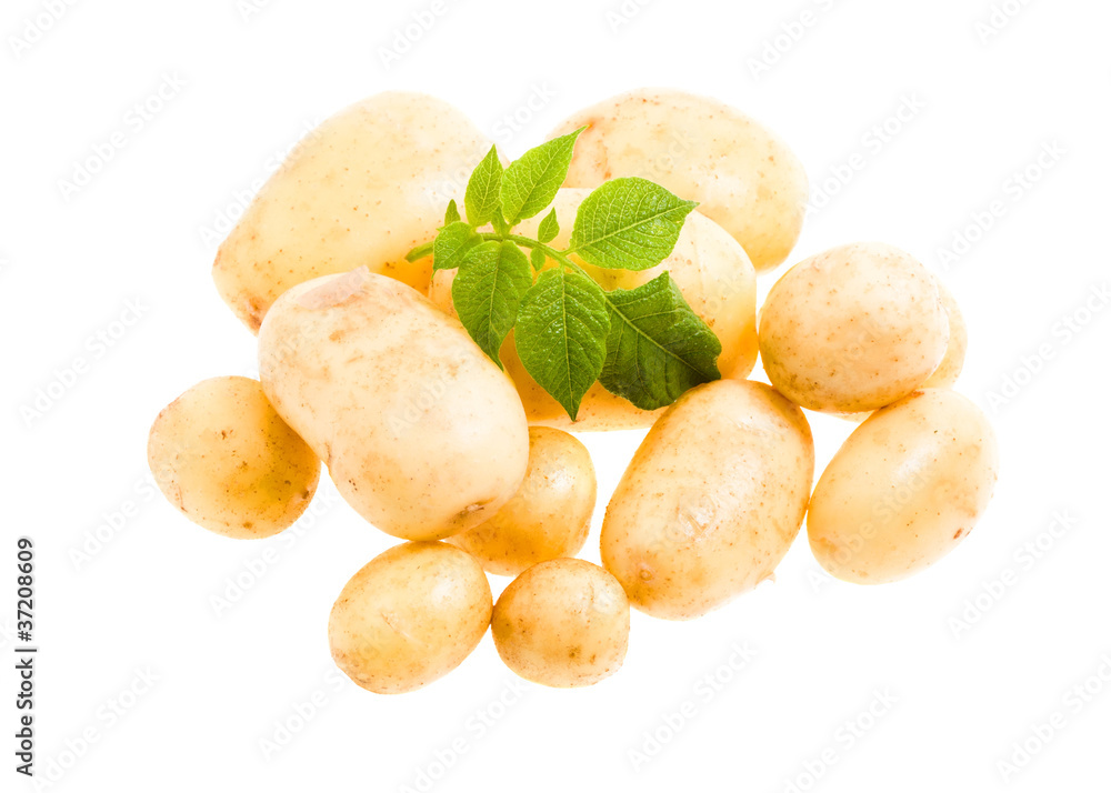 Potato Potato