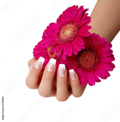 Hand mit Gerbera