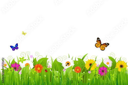 Fresh Nature Landscape