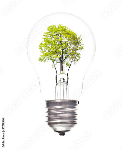 Bulb light with green tree inside