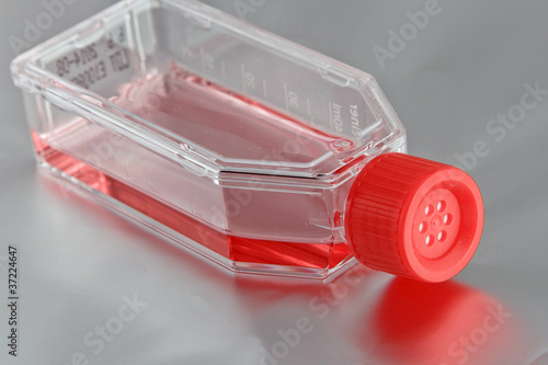Foto Cell culture flask with culture medium