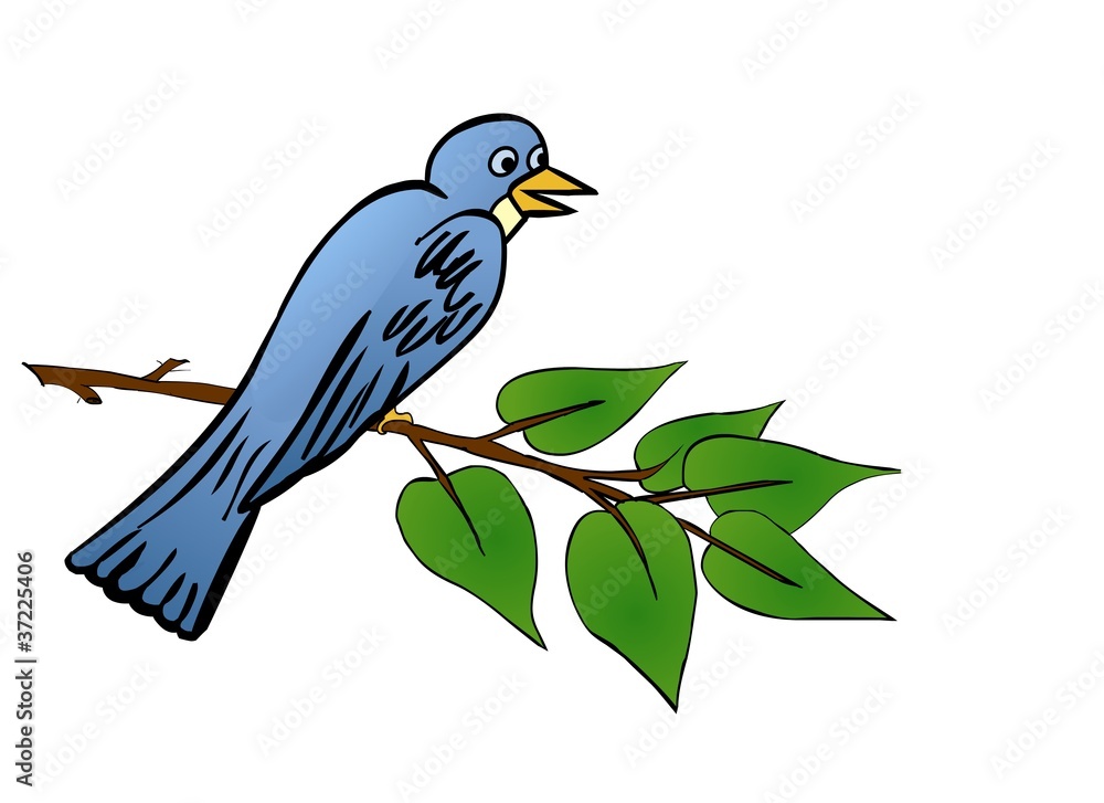 bird in tree bird in tree