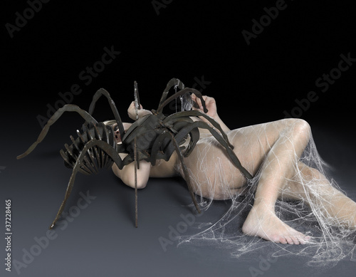 spider attack © PRILL Mediendesign