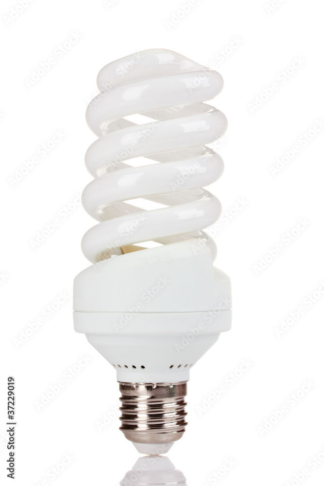 energy saving light bulb isolated on white energy saving light bulb isolated on white