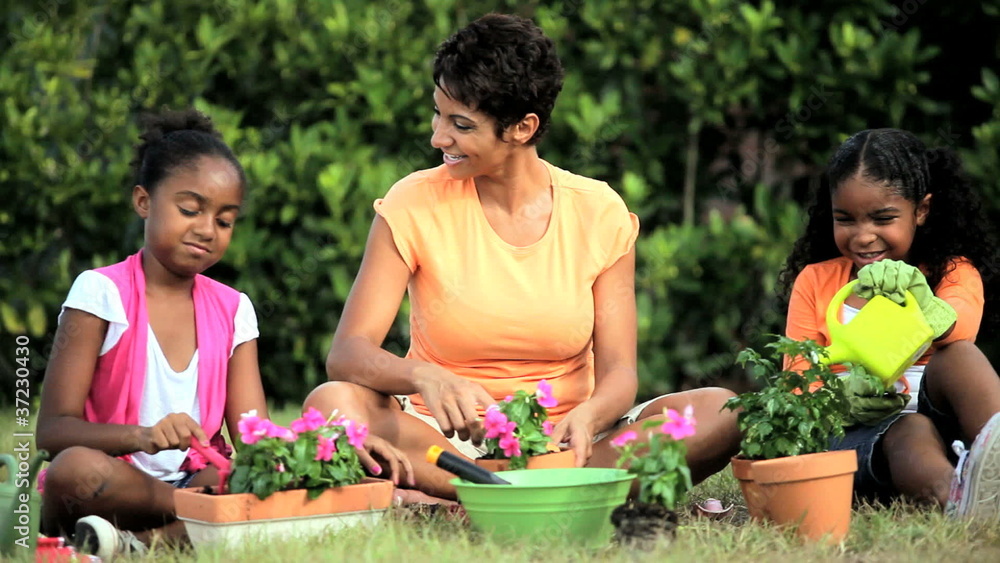 African American Girls & Their Mother Gardening Together African American Girls & Their Mother Gardening Together