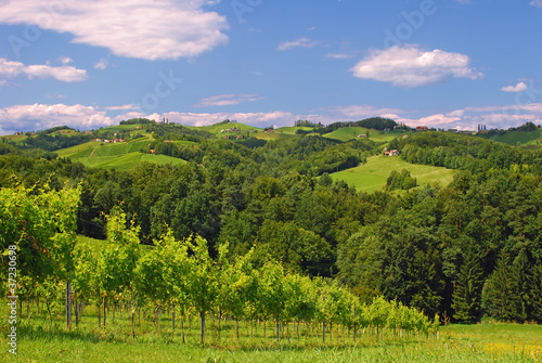 in der Steirischen Toskana bei Leutschach