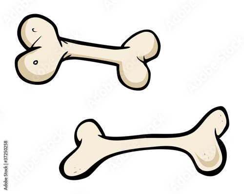 bones