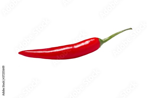 Chili Schote freigestellt