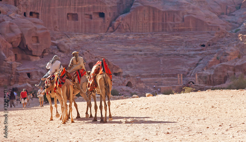 Groupe de bédouins à dos de chameaux, à Pétra, Jordanie. photo