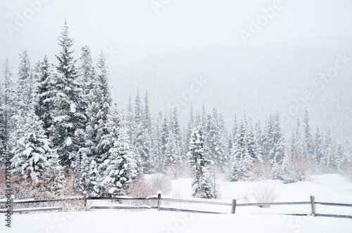 Winter Landscape © joshschutz